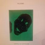 FLUSH capitals of capitalism by Siko Carlier, Ophalen of Verzenden, Zo goed als nieuw