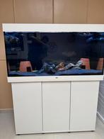 aquarium, Dieren en Toebehoren, Ophalen, Zo goed als nieuw