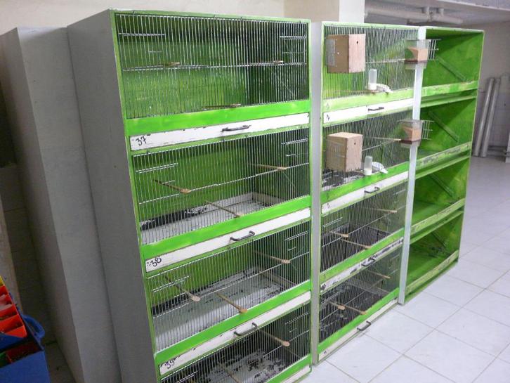 broedkooien, tyransportkistjes..., Dieren en Toebehoren, Vogels | Hokken en Kooien, Gebruikt, Broedkooi of Kweekkooi, Hout, Ophalen