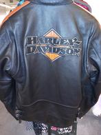 Harley davidson jas, Motos, Vêtements | Vêtements de moto, Manteau | cuir