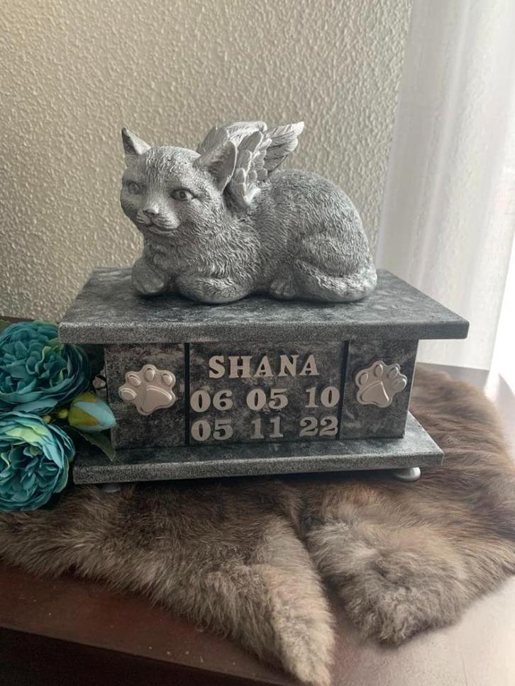 Poezenbeeld met of zonder vleugels op urn als set te koop, Dieren en Toebehoren, Katten-accessoires, Nieuw, Verzenden