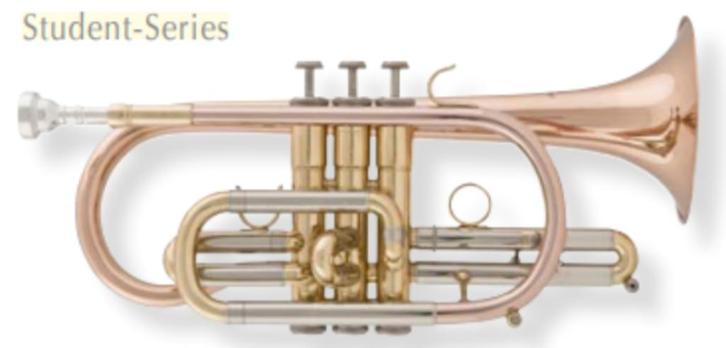 CORNET  ARNOLDS TERRA 4220, Muziek en Instrumenten, Blaasinstrumenten | Trompetten, Nieuw, Overige typen, Met koffer, Ophalen of Verzenden
