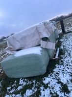 Gewikkelde pakken hooi, Zakelijke goederen, Landbouw | Veevoer, Ophalen