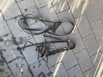 Pony hoofdstel met teugels beschikbaar voor biedingen