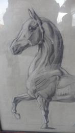 Paard, potloodtekening (1900), Antiek en Kunst, Ophalen