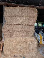 Hooi, Animaux & Accessoires, Nourriture pour Animaux, Enlèvement ou Envoi