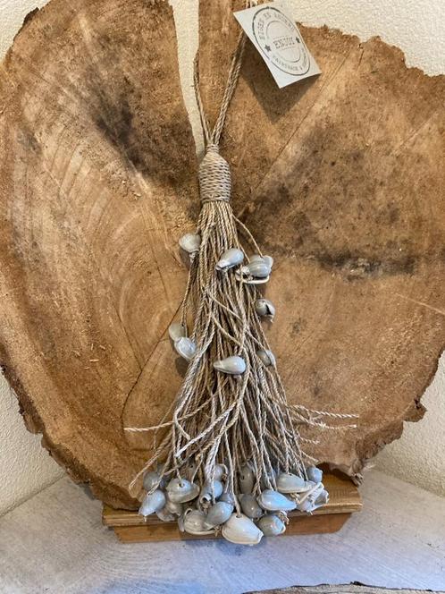 SCHELPEN BUNDEL GROOT GRIJS NIEUW, Verzamelen, Mineralen en Fossielen, Schelp(en), Ophalen of Verzenden