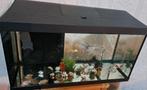 Aquarium avec 4 poissons, Animaux & Accessoires, Enlèvement, Comme neuf