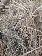 Staldekking, Dieren en Toebehoren, Ophalen