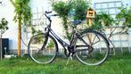 Damesfiets Minerva 28inch, Fietsen en Brommers, Ophalen, Gebruikt, Versnellingen