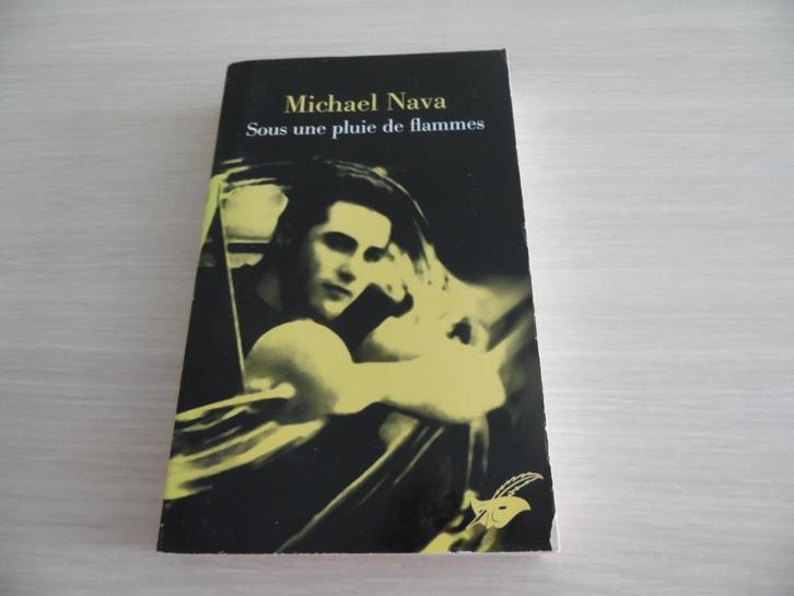 SOUS UNE PLUIE DE FLAMMES     MICHAEL NAVA, Livres, Policiers, Comme neuf, Enlèvement ou Envoi