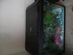 Aquarium en toebehoren, Ophalen, Gebruikt