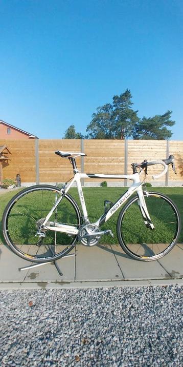 Racefiets , koersfiets , redbull maat 54/56 beschikbaar voor biedingen