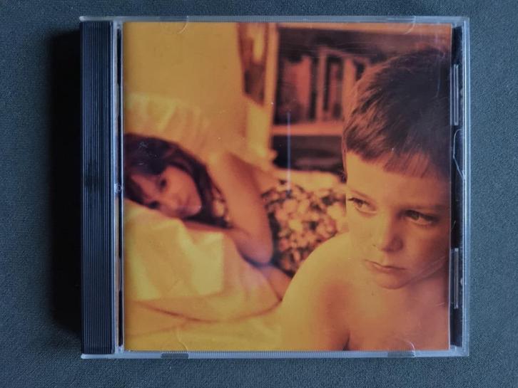 The Afghan Whigs – Gentlemen (CD Greg Dulli 1993), Cd's en Dvd's, Cd's | Rock, Alternative, Ophalen of Verzenden
