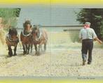 Eugeen De Croes  met paarden 1913-1998, Collections, Images pieuses & Faire-part, Enlèvement ou Envoi