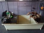 Knaagdierkooi — afm. Lengte 60 cm x breedte 35 cm x H 45 cm, Dieren en Toebehoren, Ophalen, Gebruikt, Kooi
