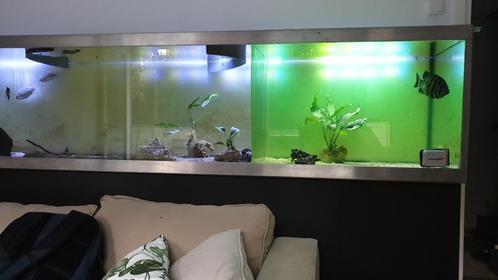 aquarium, Dieren en Toebehoren, Vissen | Aquaria en Toebehoren, Gebruikt, Leeg aquarium, Ophalen