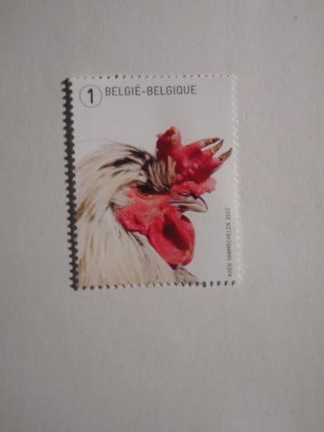 België postfris nr 5109