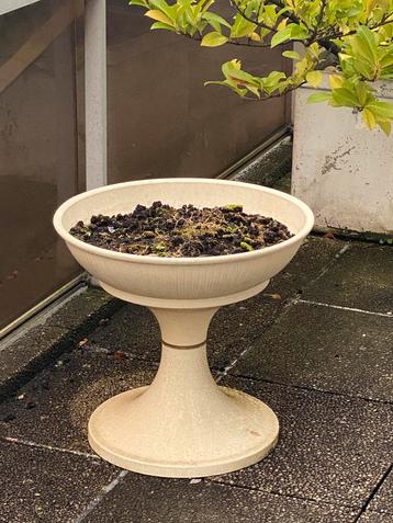 Pots pour plantes (bacs) en Eternit (Fibrociment + Asbestos), Enlèvement, Comme neuf