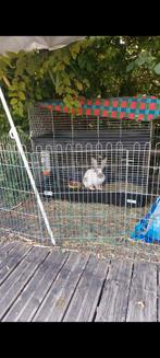 Vend cage pour lapin