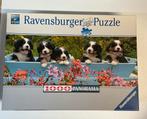 Puzzel honden, Hobby en Vrije tijd, Ophalen, Legpuzzel