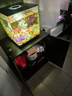 Biorb cube 60, Dieren en Toebehoren, Vissen | Aquaria en Toebehoren, Ophalen, Zo goed als nieuw