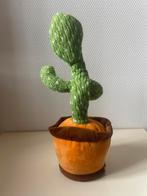 cactus parlant, Maison & Meubles, Plantes d'intérieur, Cactus, Enlèvement
