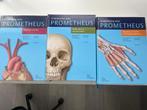 Boeken UA Revalidatiewetenschappen en Kinesitherapie, Boeken, Schoolboeken, Ophalen, Zo goed als nieuw, Overige niveaus, Overige vakken