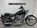 Harley-Davidson XL 883 C SPORTSTER CUSTOM 100 YEARS EDITION, Motos, 883 cm³, 2 cylindres, Plus de 35 kW, Chopper