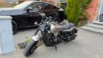 QJ 600 Srv motorfiets, Motoren, ABS, 4 cilinders, Chopper, Meer dan 35 kW