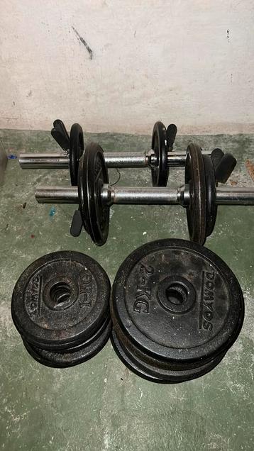 Dumbells gewichten beschikbaar voor biedingen