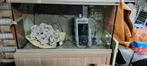 Aquarium 1 m x 60 x 40, Dieren en Toebehoren, Ophalen