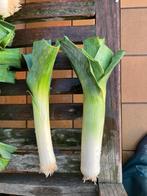 Prei te koop, Ophalen