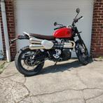 scrambler 1200 X, Motoren, Motoren | Triumph, 2 cilinders, Bedrijf, Enduro, 1200 cc