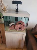 aquarium marin, Dieren en Toebehoren, Ophalen, Zo goed als nieuw, Overige typen