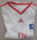 Voetbaltruitje Eljero Elia HSV Hamburg, Ophalen