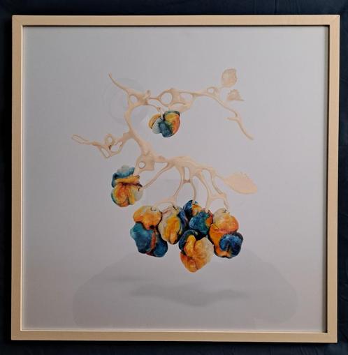 Nick Ervinck 1981 Gesigneerd Nieuwe Inlijsting + kunstboek, Antiek en Kunst, Kunst | Litho's en Zeefdrukken, Ophalen