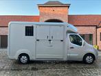 STX 2 HORSES Renault Master, Animaux & Accessoires, Chevaux & Poneys | Semi-remorques & Remorques, Enlèvement, Utilisé, Remorque 2 chevaux