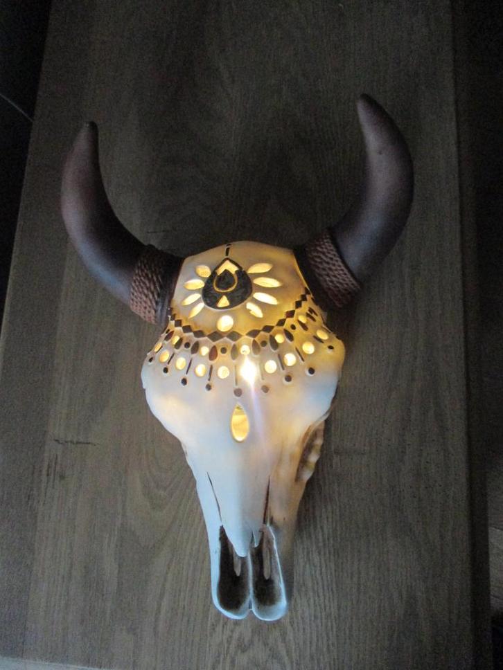 Buffelkop met verlichting stieren schedel koe muurlamp, Collections, Collections Animaux, Utilisé, Crâne, Enlèvement ou Envoi
