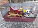 Groot hamsterkooi en toebehoren, Animaux & Accessoires, Rongeurs & Lapins | Cages & Clapiers, 75 à 110 cm, Enlèvement, Utilisé