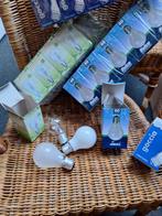 Nieuwe gloeilampen, softone - warm wit, helder , mat, Huis en Inrichting, Lampen | Losse lampen, 30 tot 60 watt, Gloeilamp, Nieuw