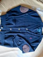 Prachtig tijdloze gilet/cardigan R. LAUREN. -  5J, Verzenden, Trui of Vest, Nieuw, Jongen