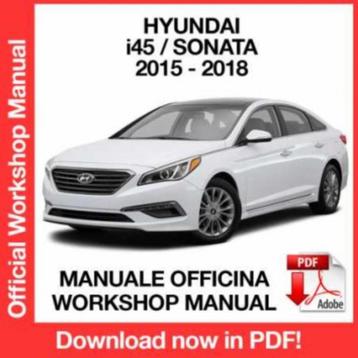 HYUNDAI - SERVICE WORKSHOP REPAIR MANUALS | DOWNLOAD PDF beschikbaar voor biedingen