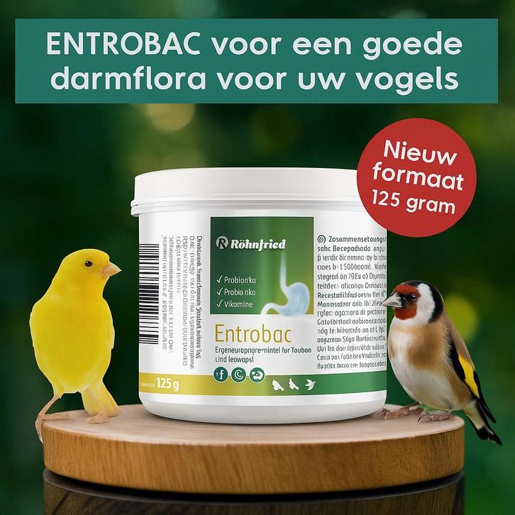 Entrobac 125 grammes (flore intestinale, pré- et probiotique, Animaux & Accessoires, Oiseaux | Accessoires, Enlèvement
