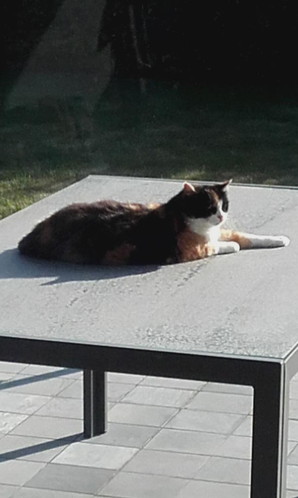 terrastafel, Tuin en Terras, Tuintafels, Gebruikt, Rechthoekig, Overige materialen, Ophalen