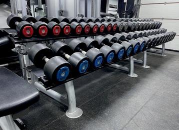 Hammer strength dumbellset 2kg - 50kg gewichten beschikbaar voor biedingen