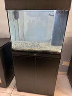 Aquarium JUWEL Lido 120, Dieren en Toebehoren, Ophalen, Gebruikt, Leeg aquarium