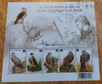 België: Roofvogels - Buzin - BL182, Gomme originale, Neuf, Autre, Sans timbre