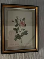 Kader met roos, Antiek en Kunst, Ophalen