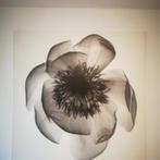 IKEA fotodecoratie, Ophalen, Gebruikt